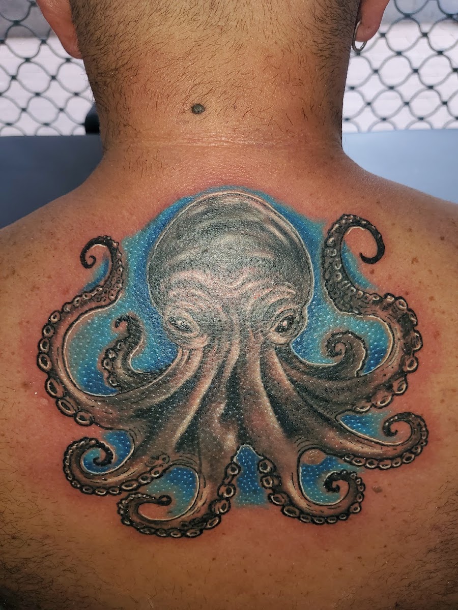 Pulpo tatuado en la parte alta de la espalda, en grises y negros, con los tentáculos enroscados sobre una mancha de tinta azul turquesa.